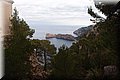 P1128781.JPG