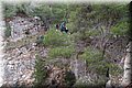P1128789.JPG