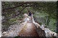 P1128790.JPG