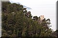 P1128804.JPG