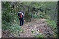P1128830.JPG