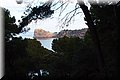 P1128833.JPG