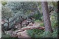 P1128834.JPG
