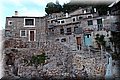 P1128843.JPG