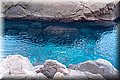 P1128850.JPG