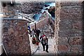 P1128879.JPG