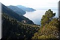 P1128894.JPG