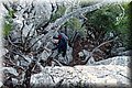 P1199252.JPG