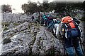 P1199286.JPG
