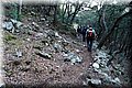 P1199333.JPG