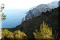 P1239692.JPG