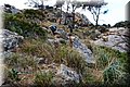 P1239708.JPG