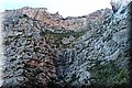 P1239714.JPG