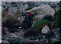 P1239743.JPG