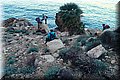 P1239752.JPG