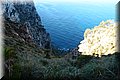 P1239765.JPG