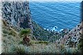 P1239766.JPG