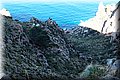 P1239772.JPG