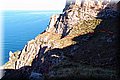 P1239773.JPG