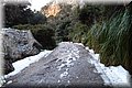 P1300115.JPG