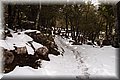 P1300207.JPG