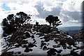 P2150450.JPG