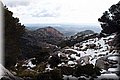 P2150453.JPG