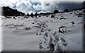 P2150497.JPG