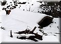 P2150508.JPG