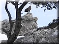 Muestra09 (Large).jpg