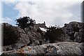 P2200683.JPG