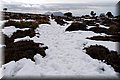P2200765.JPG