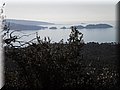 P2230029 (Large).JPG