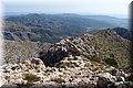 P2271137.JPG