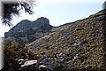 P2271156.JPG