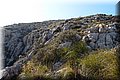 P2271160.JPG