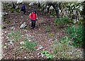 P3051320.JPG