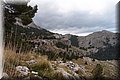 P3081410.JPG