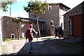 P3141863.JPG