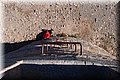P3142050.JPG