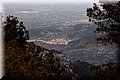 P3192320.JPG