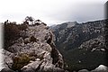 P3192324.JPG