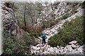 P3192350.JPG