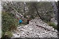 P3192352.JPG