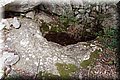 P3192369.JPG