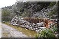 P3192374.JPG