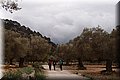 P3192401.JPG