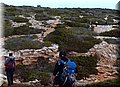 P3222453.JPG