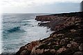 P3222461.JPG