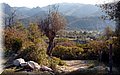 P3262633.JPG